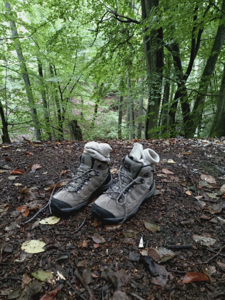 Es ist nie zu spät für einen Beginn