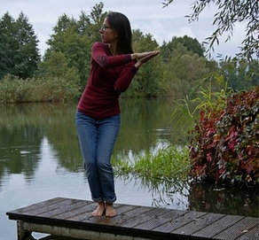 Meine Qigong Termine